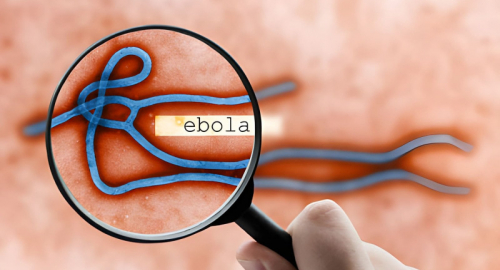 Ebola in Congo supera 4.000 casi: 1.850 morti e allarme globale